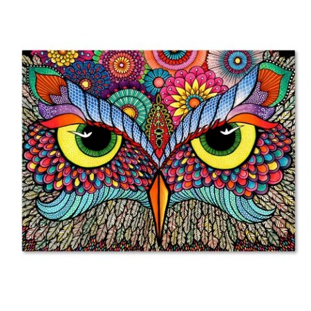 Hello Angel 'Owl Face' Canvas Art,24x32
